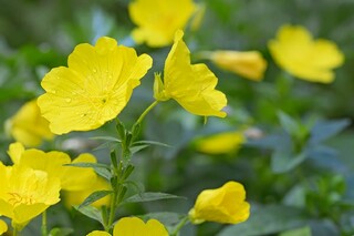 六月的最新文案_六月文案短句