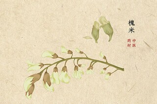 暑假里的一件事小学作文_作文《暑假里的一件事》