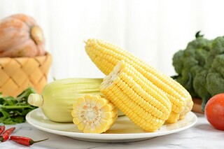 时光语文作文（时光语文作文怎么写）