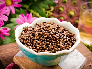 大学外联部感恩节活动策划书