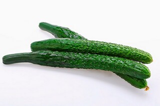 假如时光可以倒流作文（假如时光可以倒流为题的作文）