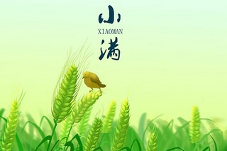 微商520发圈文案_微商520发圈文案图片