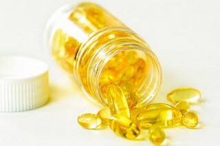 梅花赞作文600字_梅花赞作文600字左右