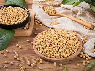 正确的选择作文600字（以正确的选择为题写作文800）