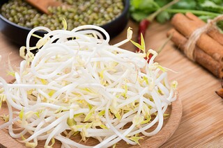 描写小草的拟人句（描写小草的拟人句和比喻句）