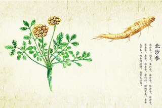 描写织金洞的诗句（关于织金洞的说说）