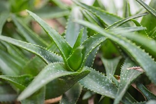 于描写秋天伤感的诗句_表达秋天伤感的诗词