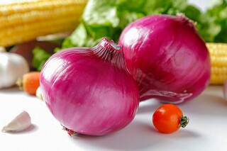 劳动技能竞赛活动方案（劳动技能竞赛项目）