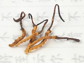 徐志摩名篇中英文版_徐志摩英文原诗