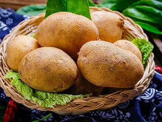 春节趣事六年级话题作文（春节趣事六年级话题作文600字）