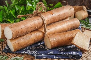 元旦第一天文案（元旦第一天文案简短）