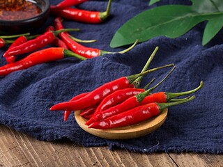 粗心作文500字_粗心的作文600字作文