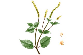 下雪发朋友圈唯美文案（下雪发朋友圈的语句）