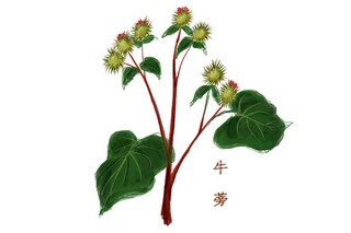 小学生必背古诗词_小学生必背古诗词120首电子版