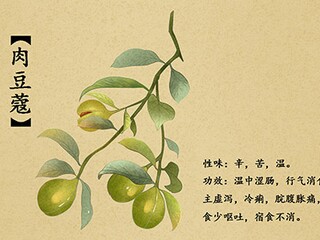 亲情的作文：原味的亲情1000字-亲情作文_亲情的味道初中作文