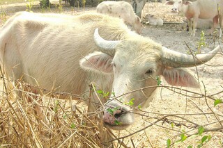 保险公司的晨会主持词