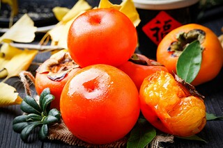 花的诗句欣赏_花的诗句欣赏一年级