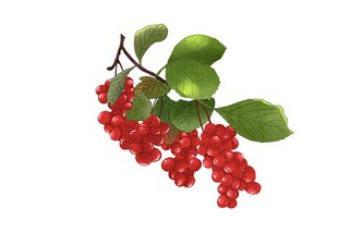 伤感日记心情随笔_伤感的心情日记大全