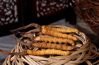 读书征文作文_读书征文作文开头和结尾