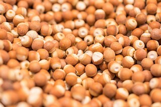 五上册《小数乘整数》教案（五年级数学小数乘整数教案）