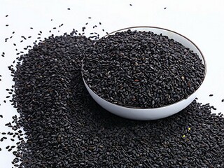 古代表达友谊的诗句