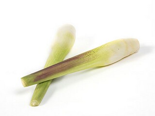 正规版本实验室租赁合同（实验室出租网）