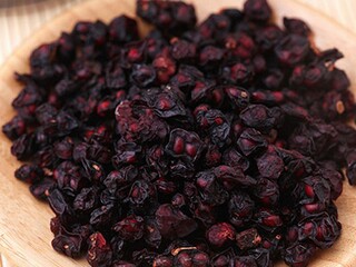 人类的老师教案_人类的老师主要讲了什么