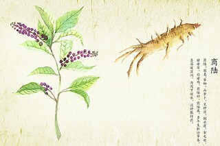 天冷了关心的话语