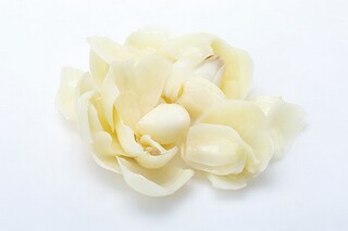 描写黄河的段落（描写黄河的优美句子段落）