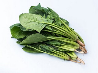 充满正能量激励人的语录