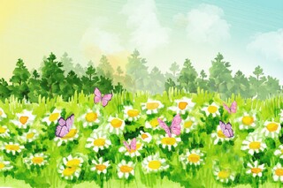 简洁的生活感悟语录73条（简单的生活感悟说说）