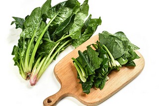 爱护地球保护环境建议书_《爱护环境保护地球》倡议书怎么写