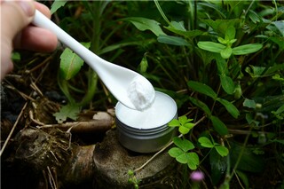 初中课文乡愁教学设计_《乡愁》教学设计