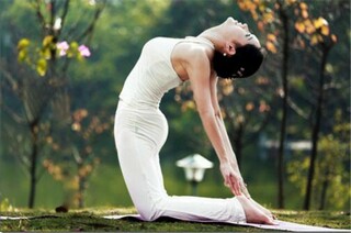 描写蝴蝶花的段落_描写蝴蝶花的优美段落