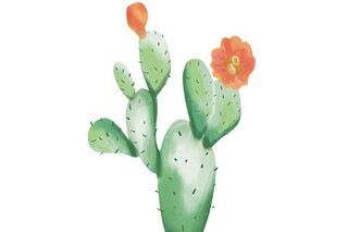 致17岁的我优秀散文_致十七岁的自己