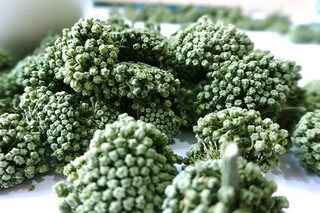 朋友的优美句子（朋友的优美句子100字）