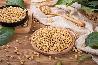 经典人物精神论据素材_人物精神的材料