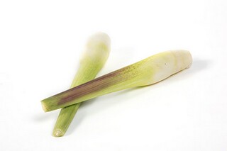 余光中乡愁读后感（读余光中乡愁有感）