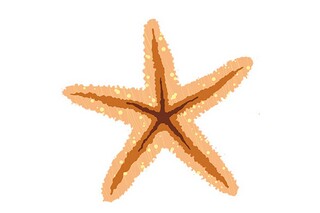 给母亲节的最红的祝福语_母亲节送给母亲的祝福语有哪些