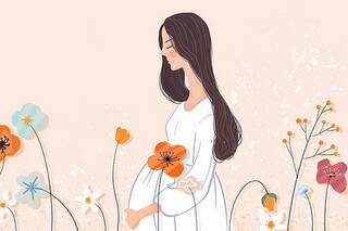 诗经鸿雁赏析（诗经鸿雁朗读）