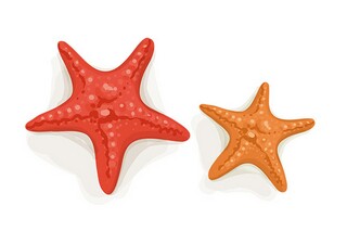 清荷情缘散文_清荷含义