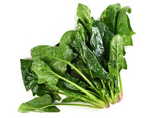 那一次我陶醉了的作文500字_那次我陶醉了作文500字作文