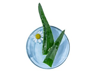 《简爱》的读书笔记（《简爱》的读书笔记100字）