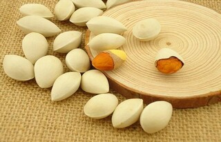 歪诗风波作文（一首歪诗的风波教育思想）