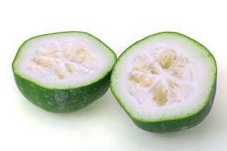 《记承天寺夜游》教学设计_记承天寺夜游优质课教案设计