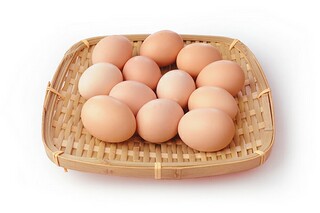 五四先驱的名言集（五四运动先驱者有哪些）