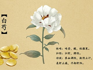 花诗句说说