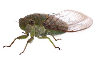 跨年时发的说说_跨年时发的说说配图