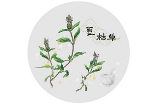 优美的霜降节气说说经典（霜降节气的句子）