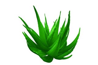 山东有哪些大学是一本二本_山东有哪几所一本大学